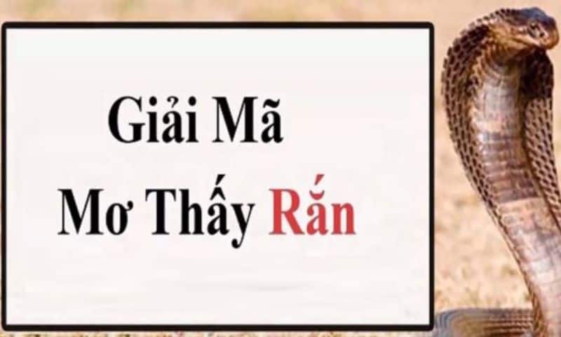 Tổng hợp giấc mơ gặp rắn là điềm lành